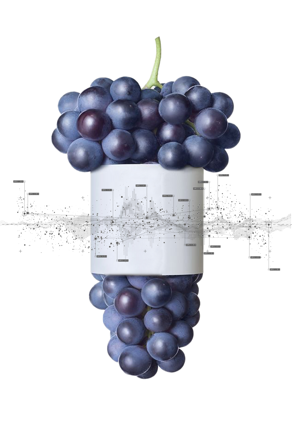 Data marketplace made in chmapagne