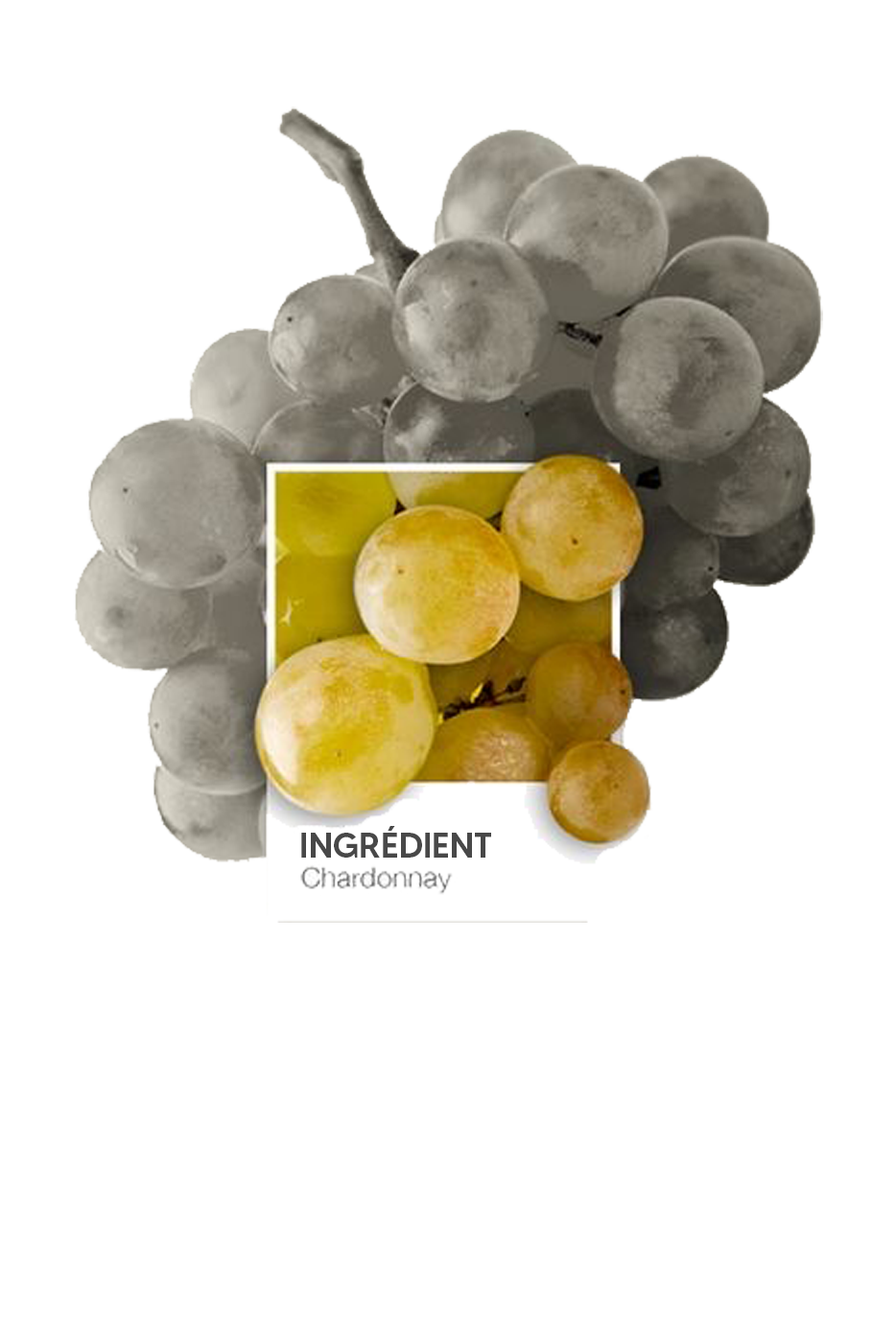 ecommerce - PIM - Made in Champagne