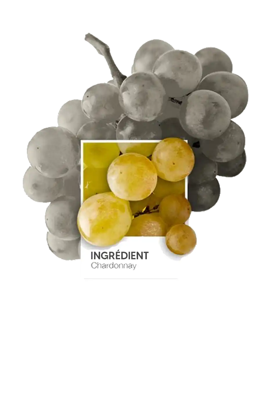 ecommerce - PIM - Made in Champagne